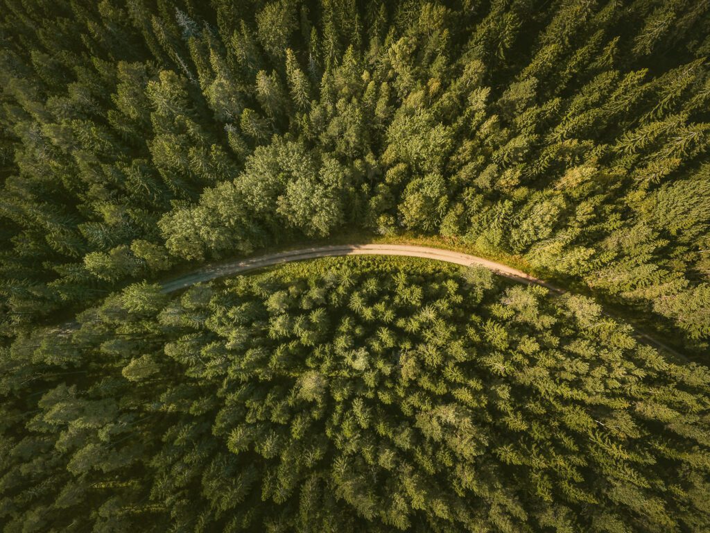 TRINITI JUREX konsultuoja „Elektrum Lietuva“ dėl saulės energijos tiekimo reguliavimo