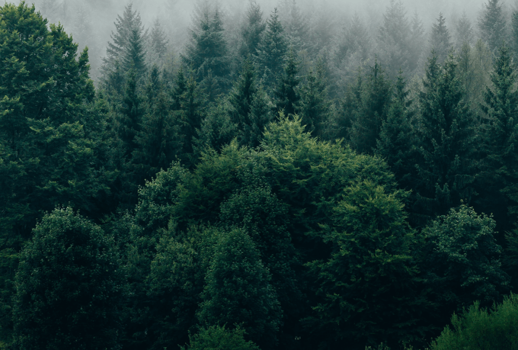 Triniti Jurex advises Greentech Baltic and ECSO on the adaption of ESG policies in Lithuania